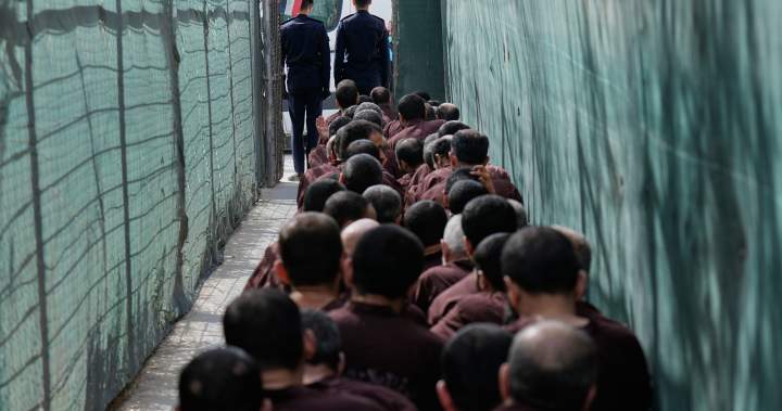 Kanadiečiai, kaltinami prisijungimu prie ISIS, persikėlė iš Sirijos į kalėjimus Irake – Nacionalinis