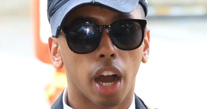 JAV „YouTube“ naudotojas Johnny Somalis buvo įkalintas Pietų Korėjoje po statulos triuko – „National“.