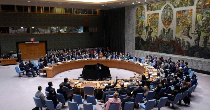 Rusija ir Kinija vetuoja JT Saugumo Tarybos priemonę atnaujinti Hormūzo sąsiaurį – Nacionalinė